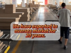 20 ans d'usine d'origine