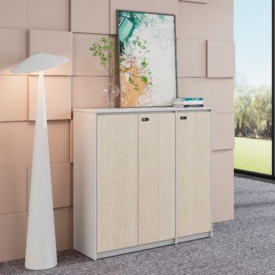 acheter Armoire de porte en bois pour un stockage organisé et sécurisé au bureau online manufacture