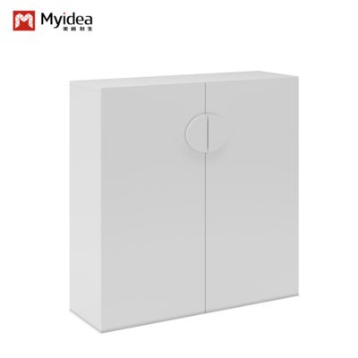 Foshan Factory File Cabinet Staff Office Storage Cabinet File Storage Low Cabinet